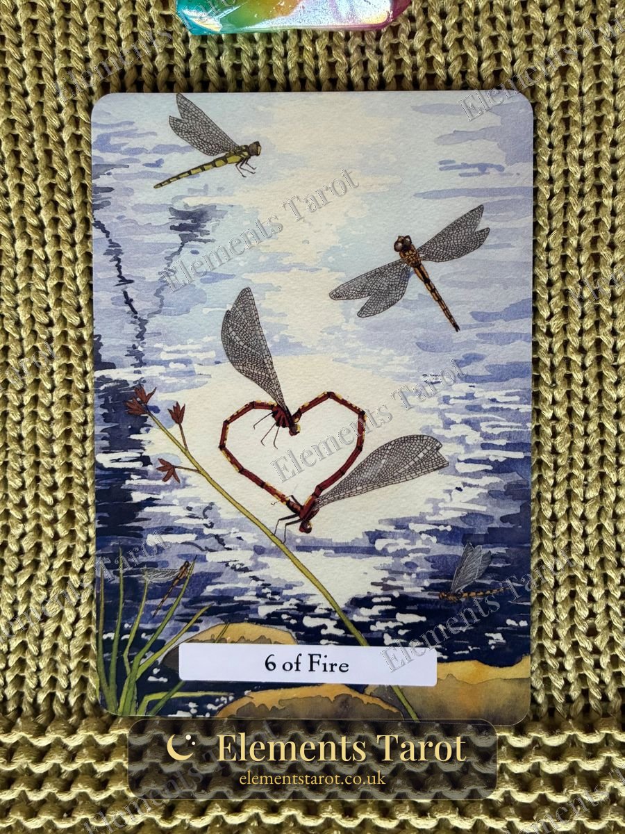 Ellie's photo of Six of Fire
